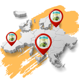 Hệ thống đại lý